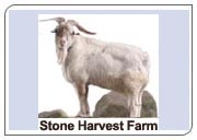 stone harvest farm